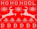 hodl svetr.jpg
