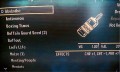 FNV.jpg